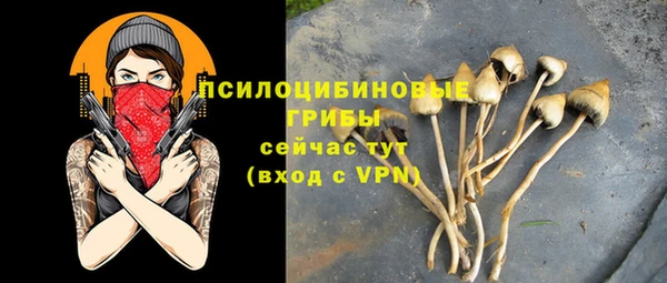 амф Алексин