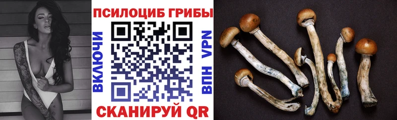 Галлюциногенные грибы ЛСД  Бежецк 